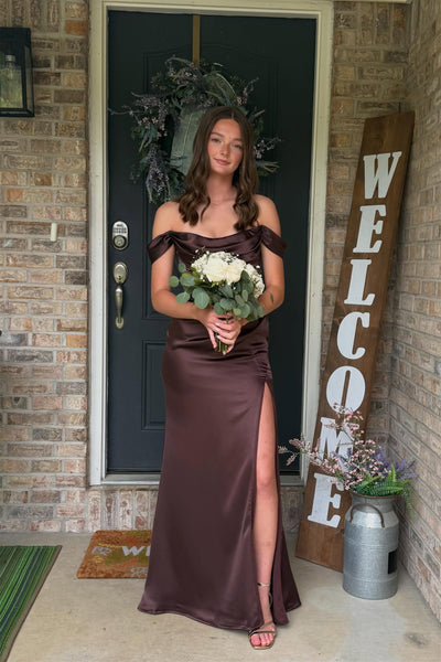 Off the Shoulder Chocolate Brown Long Dress